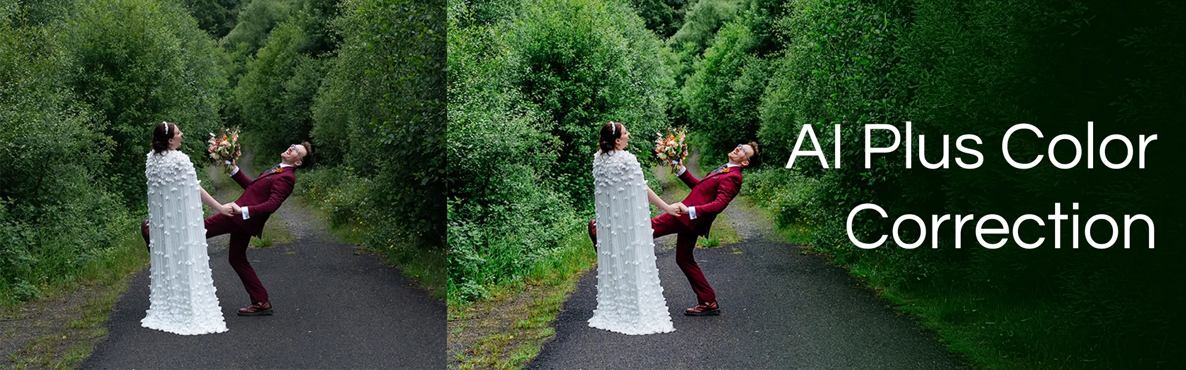 AI Plus Color Correction