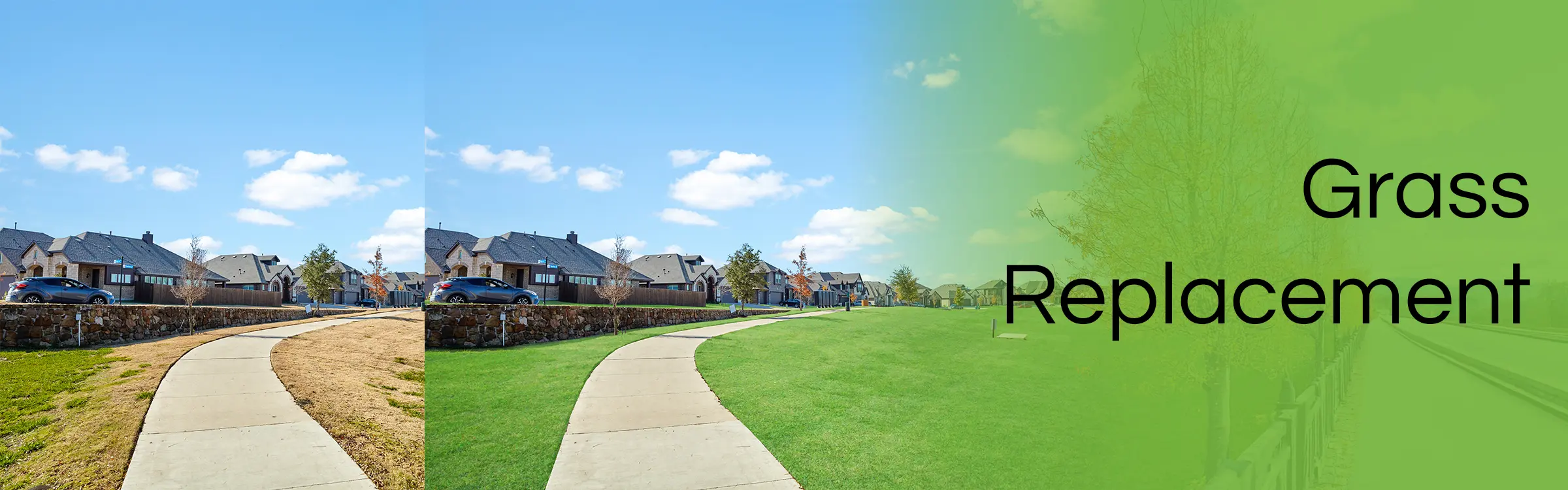 Grass Replacement