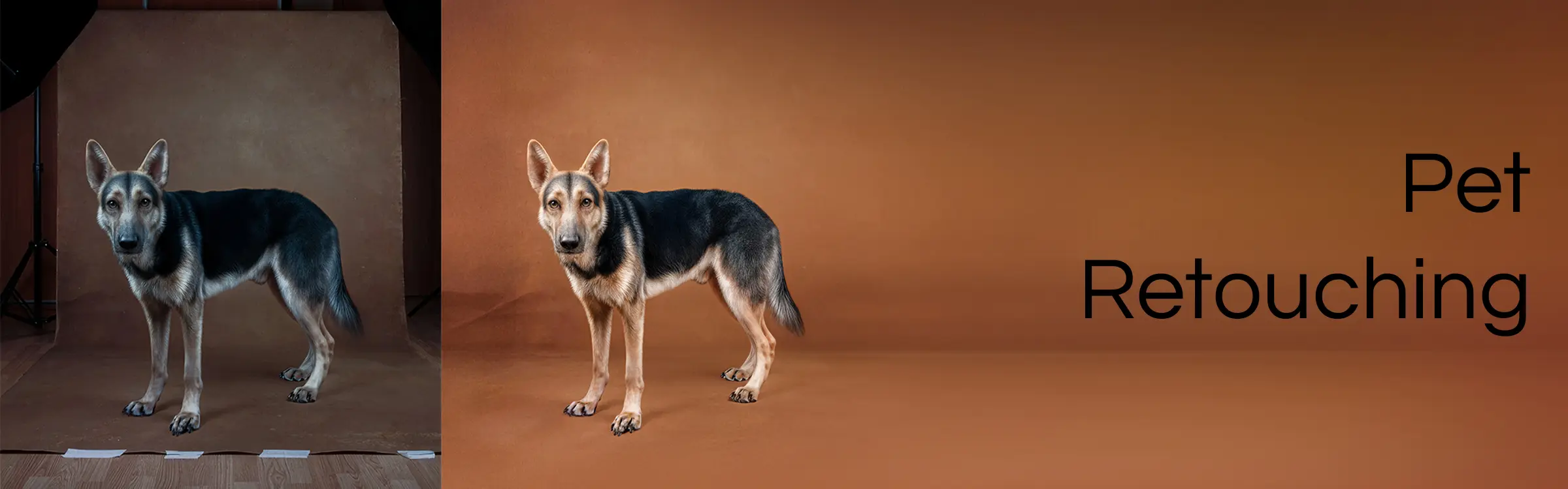 Pet Retouching